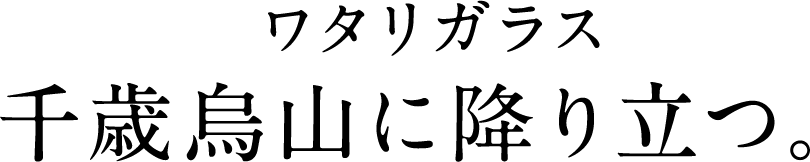 ワタリガラス 千歳烏山に降り立つ。